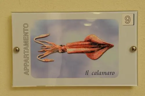 Residence Belmare Rimini